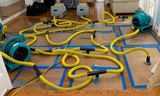 Professional Water Extraction technician working in Mack, CO